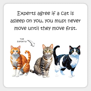 Experts agree if a cat is asleep on you, you must never move until they move first - funny watercolour cat design Magnet